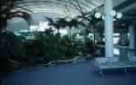<span class="caption-caption">Foyer, airport, Mackay</span>, 1986. <br />Slide by <span class="caption-publisher">Michael Keniger</span>, collection of <span class="caption-contributor">University of Queensland Library</span>.