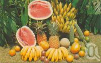 <span class="caption-caption">Some Queensland tropical fruits</span>, c1979. <br />Postcard by <span class="caption-publisher">Bernard Kuskopf</span>, collection of <span class="caption-contributor">Centre for the Government of Queensland</span>.