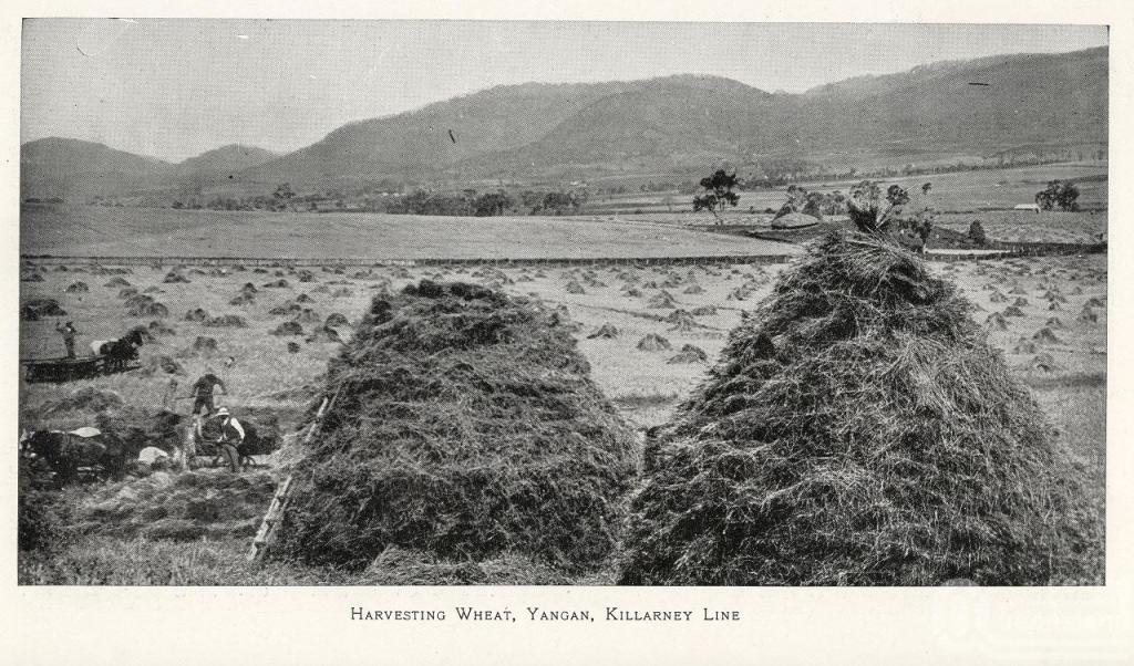 Yangan Queensland Places