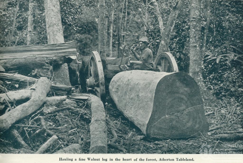 Atherton Shire and Tableland Queensland Places