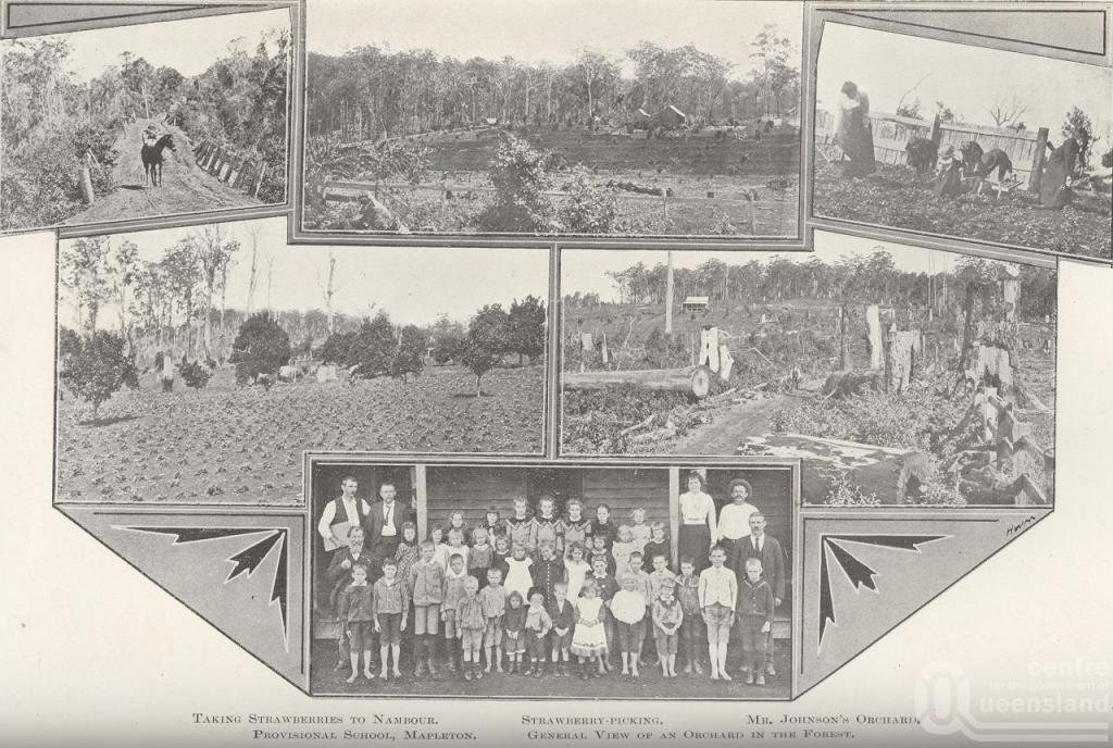 Mapleton Queensland Places