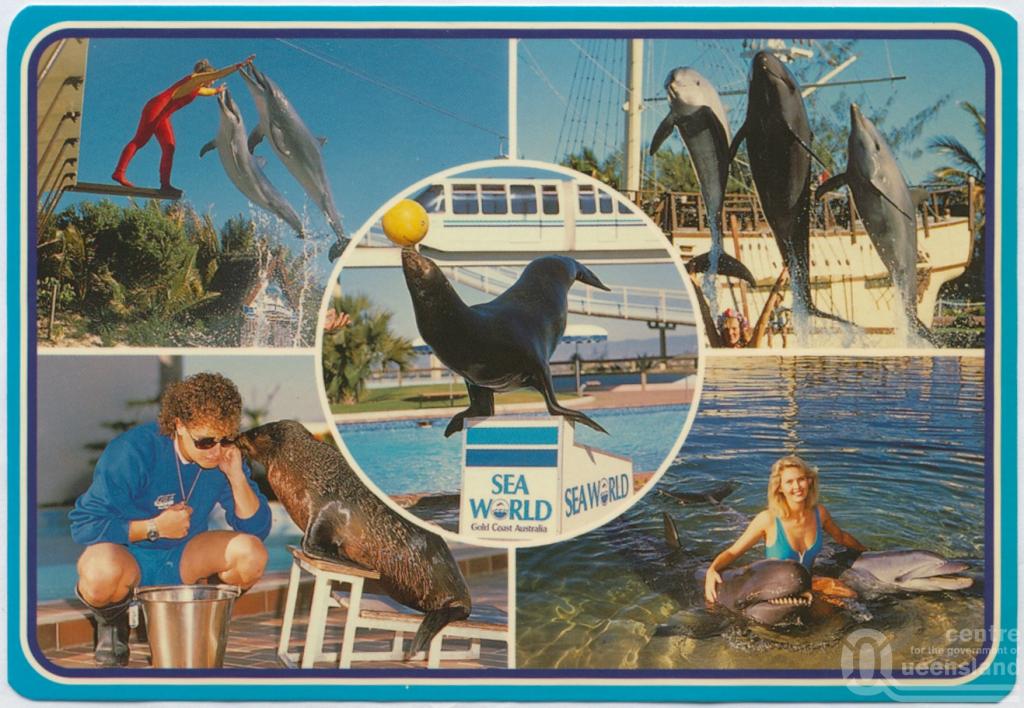 Gold coast discount coupons
