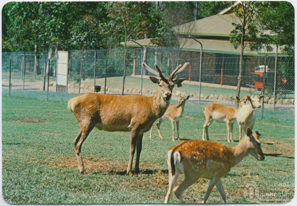 Tamborine Mountain Queensland Places
