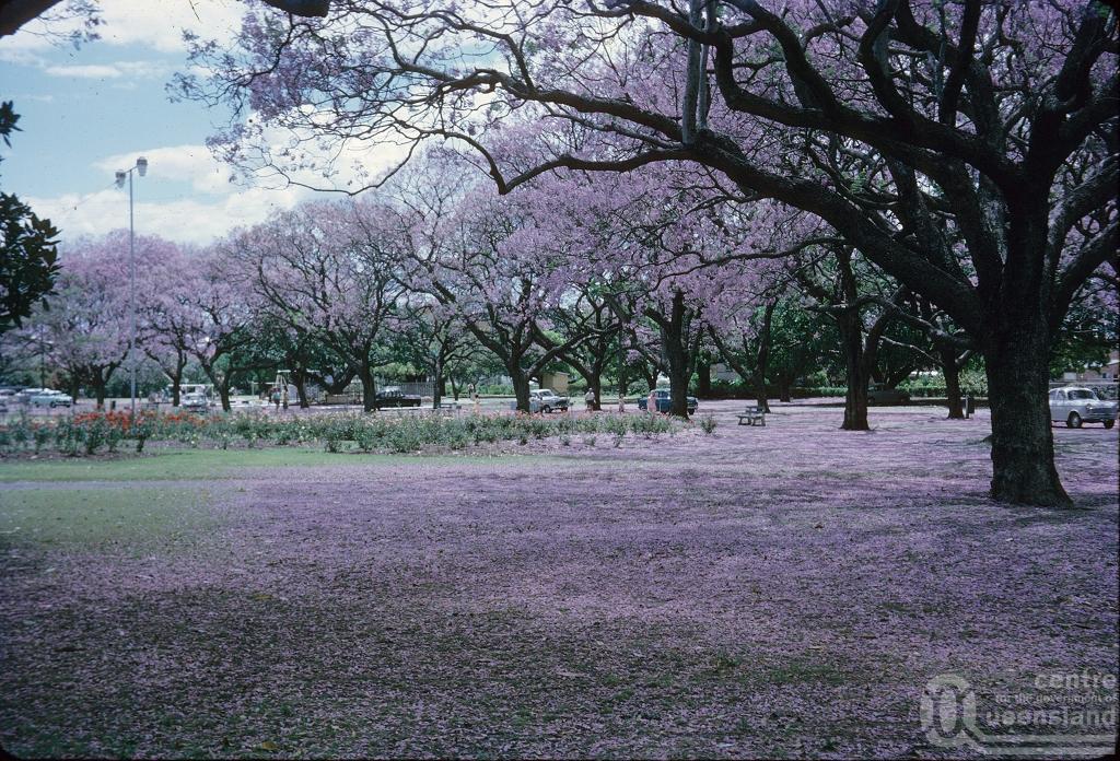 New Farm Queensland Places