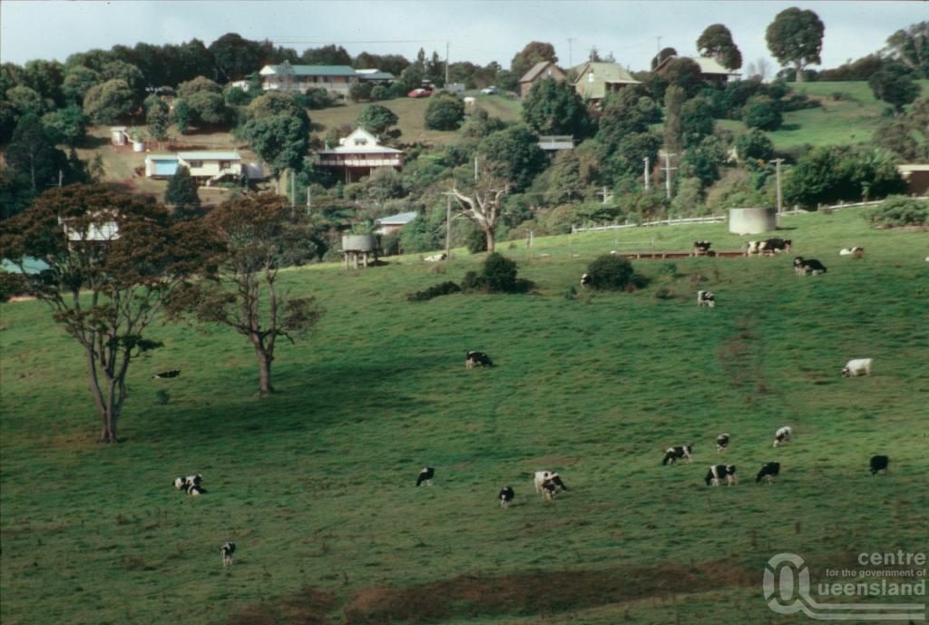 Beechmont and Lower Beechmont Queensland Places