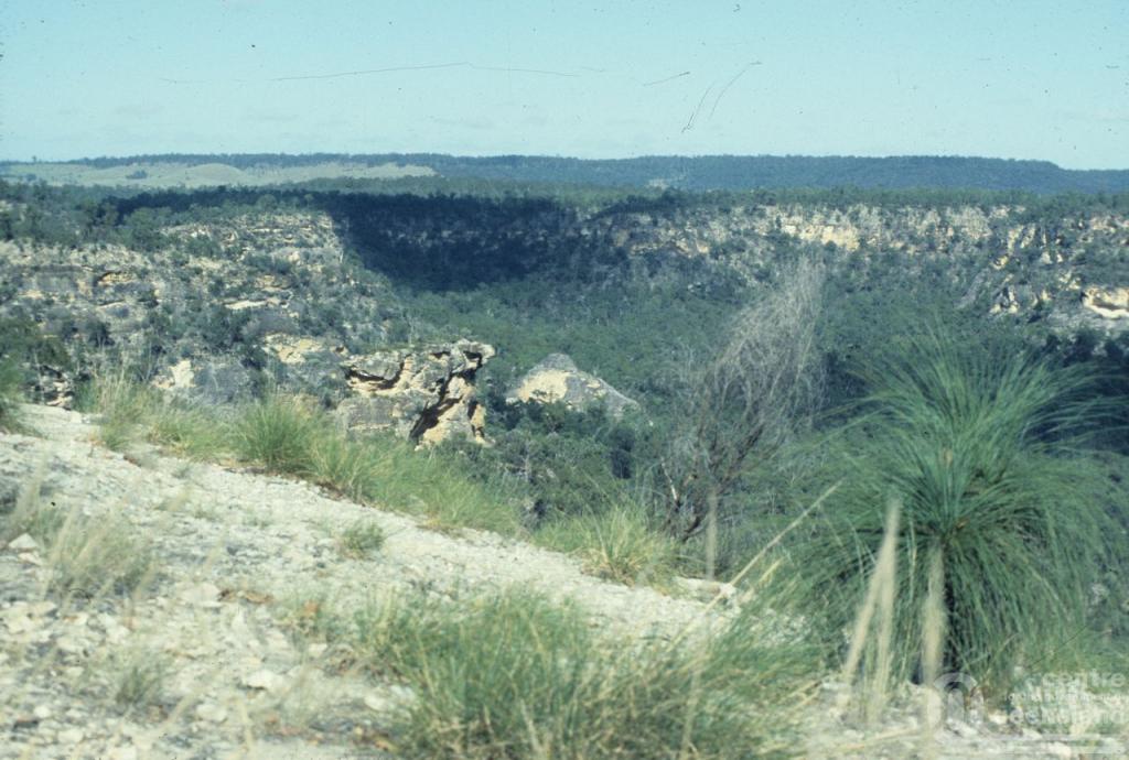 Springfield and Springfield Lakes