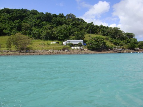 Prince Of Wales Island Torres Strait Prince Of Wales Island Torres Strait