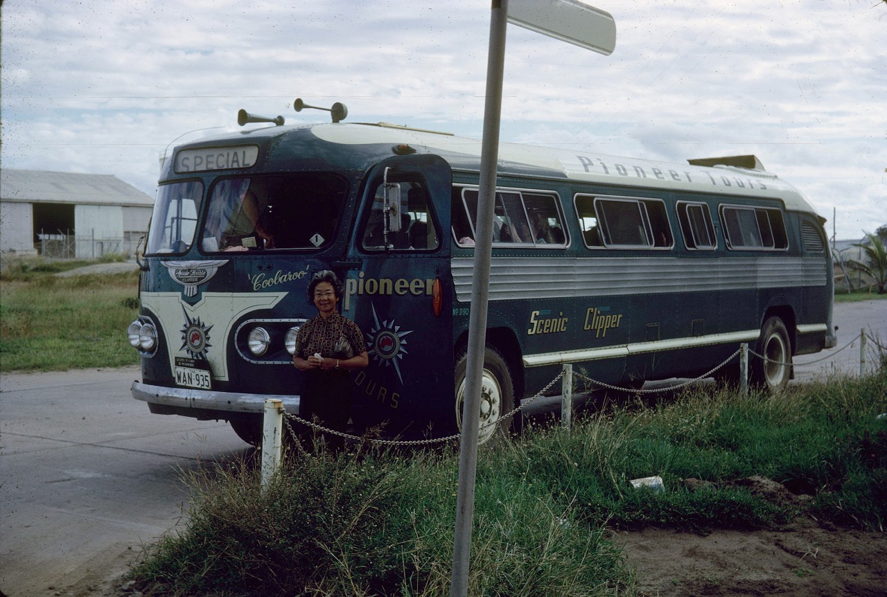 ingham travel bus